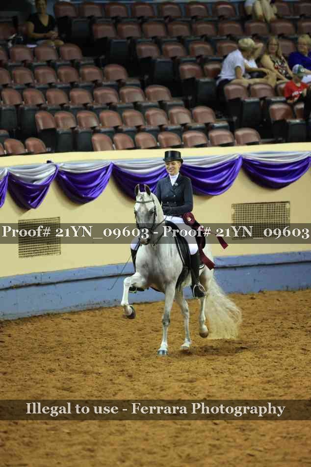 Proof 21YN_09603