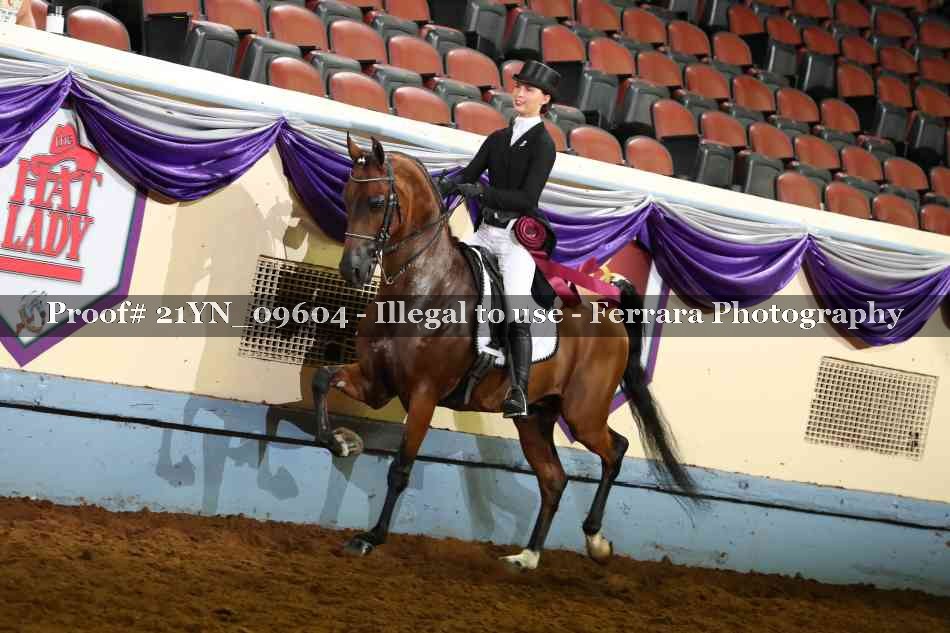 Proof 21YN_09604