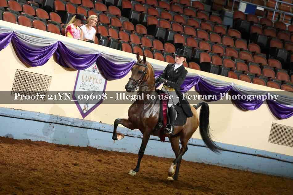 Proof 21YN_09608
