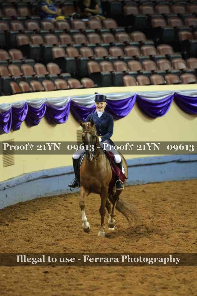 Proof 21YN_09613