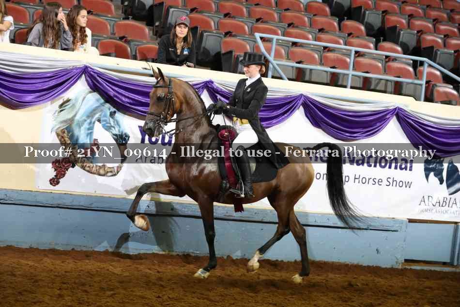 Proof 21YN_09614