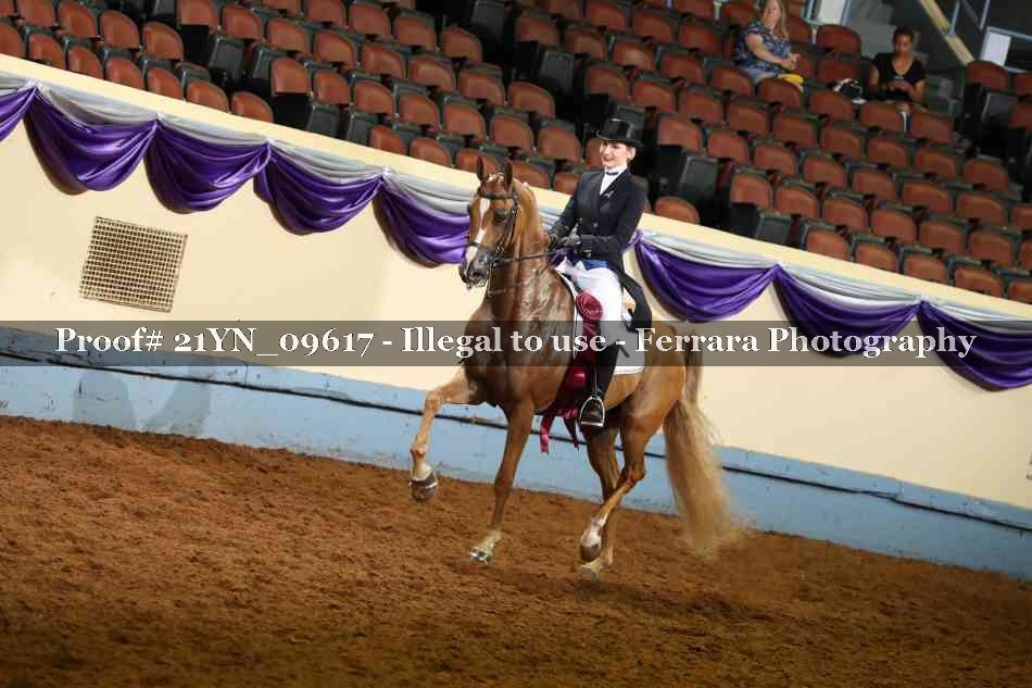 Proof 21YN_09617