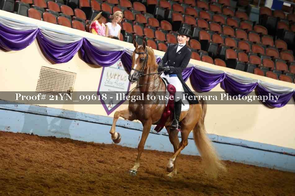 Proof 21YN_09618