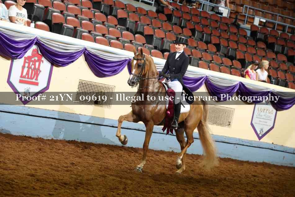 Proof 21YN_09619