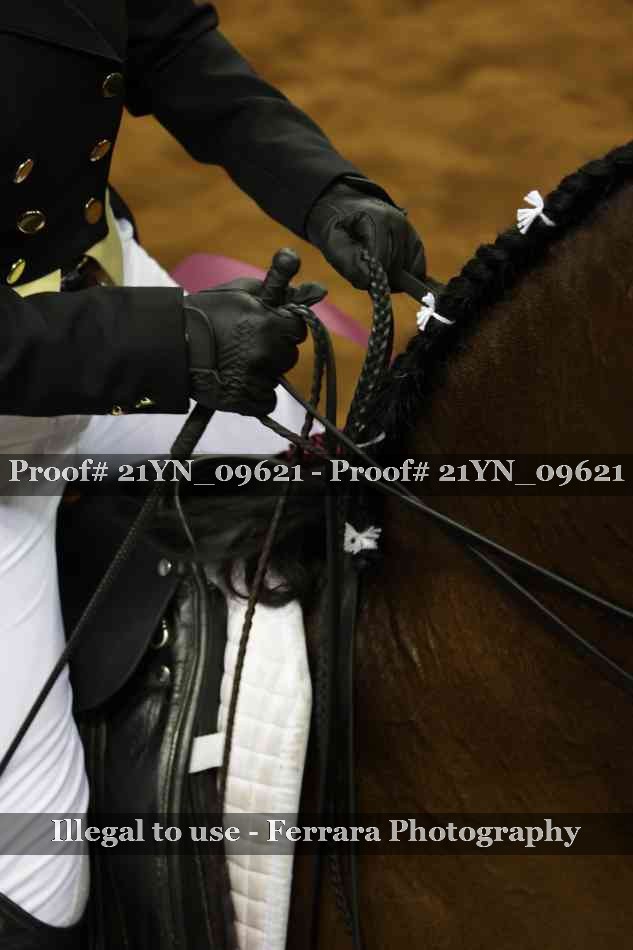 Proof 21YN_09621
