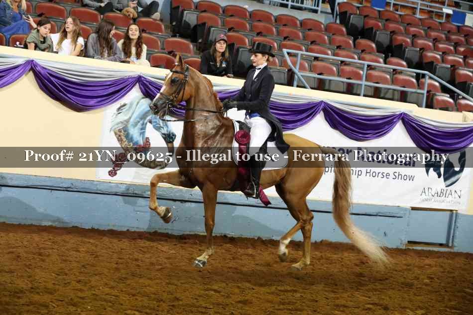 Proof 21YN_09625