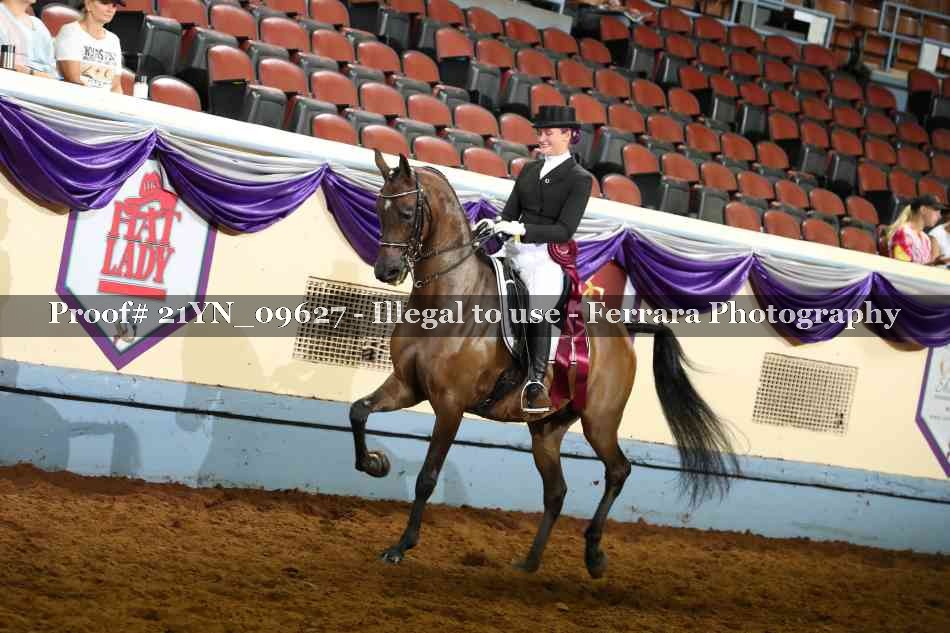 Proof 21YN_09627