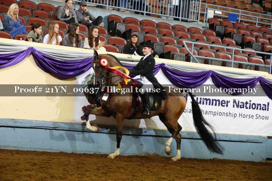 Proof 21YN_09637