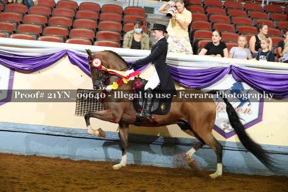 Proof 21YN_09640