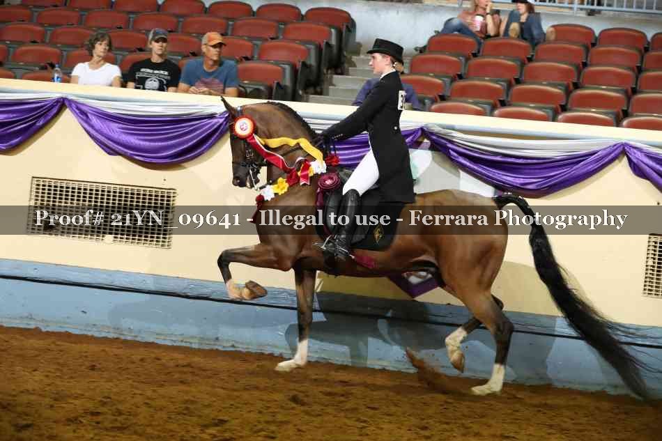 Proof 21YN_09641
