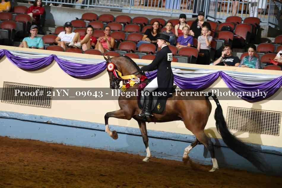 Proof 21YN_09643