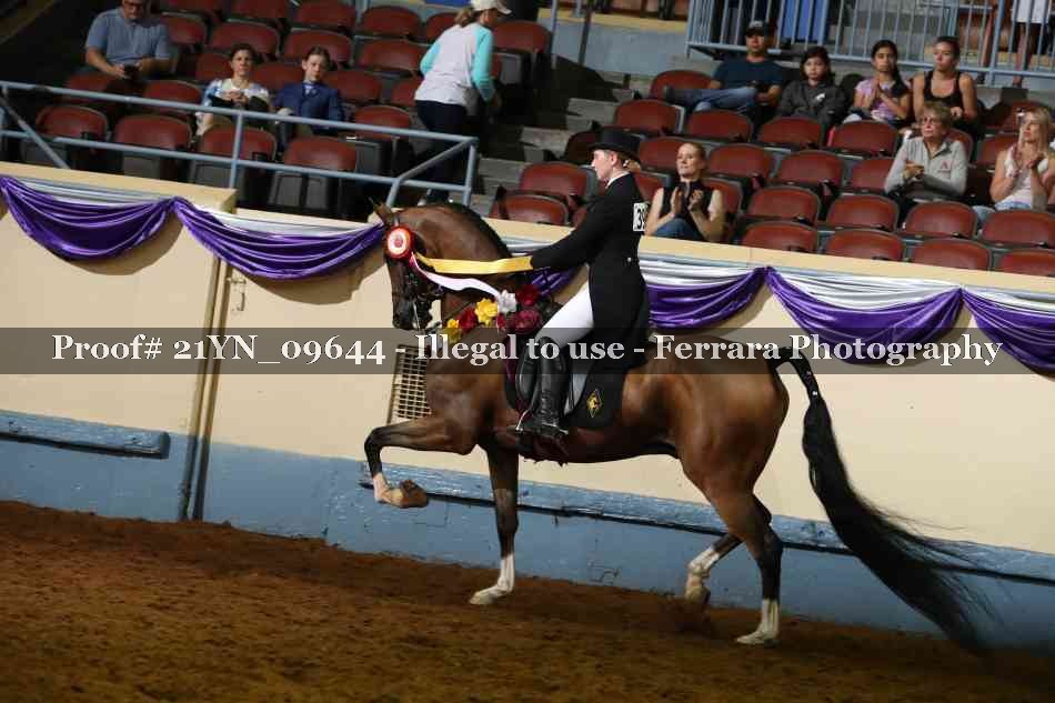 Proof 21YN_09644