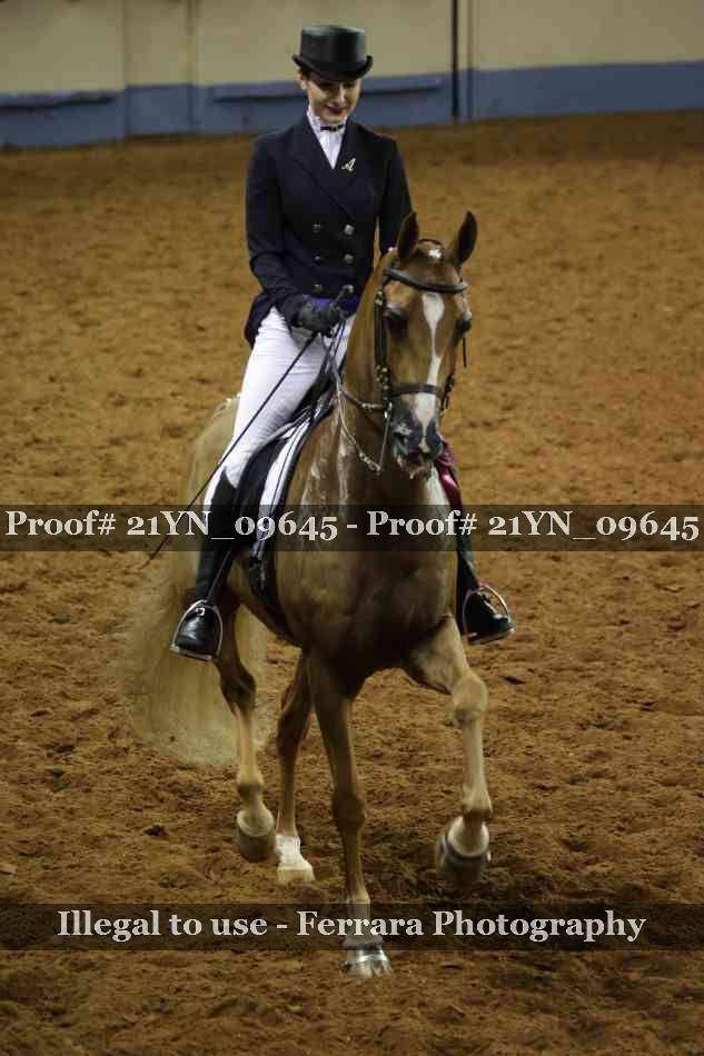 Proof 21YN_09645