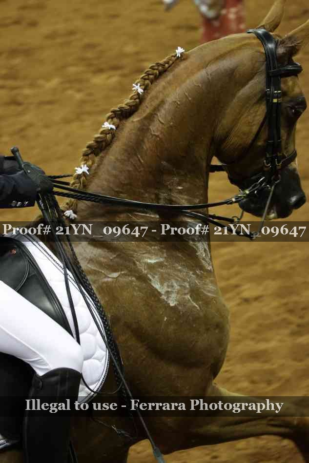 Proof 21YN_09647