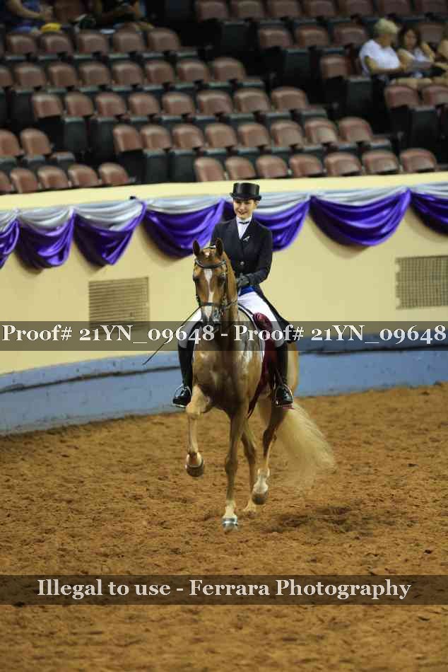 Proof 21YN_09648