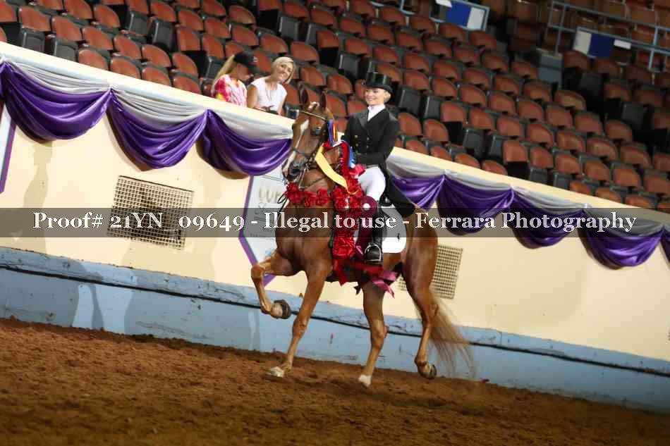 Proof 21YN_09649