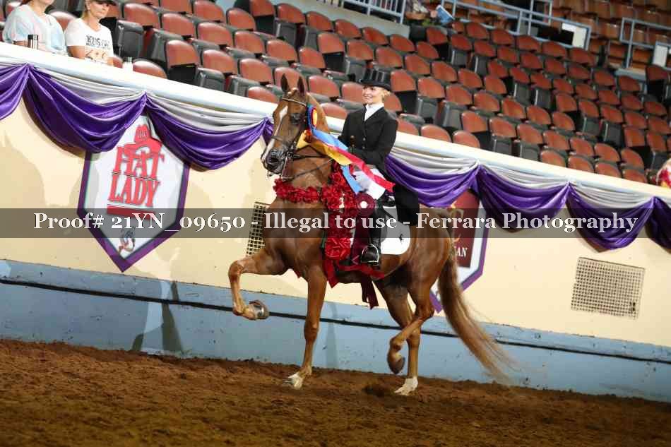 Proof 21YN_09650