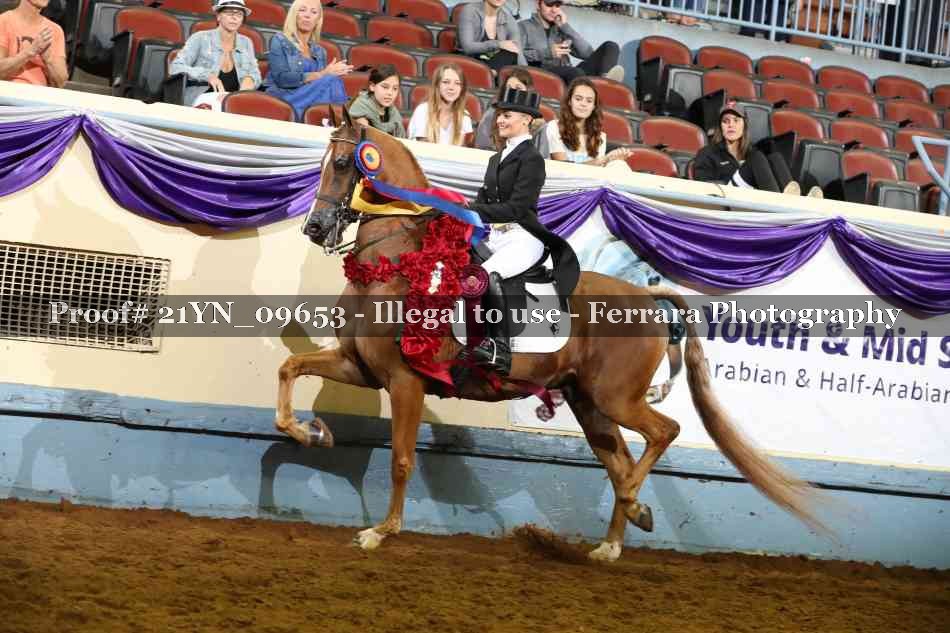 Proof 21YN_09653