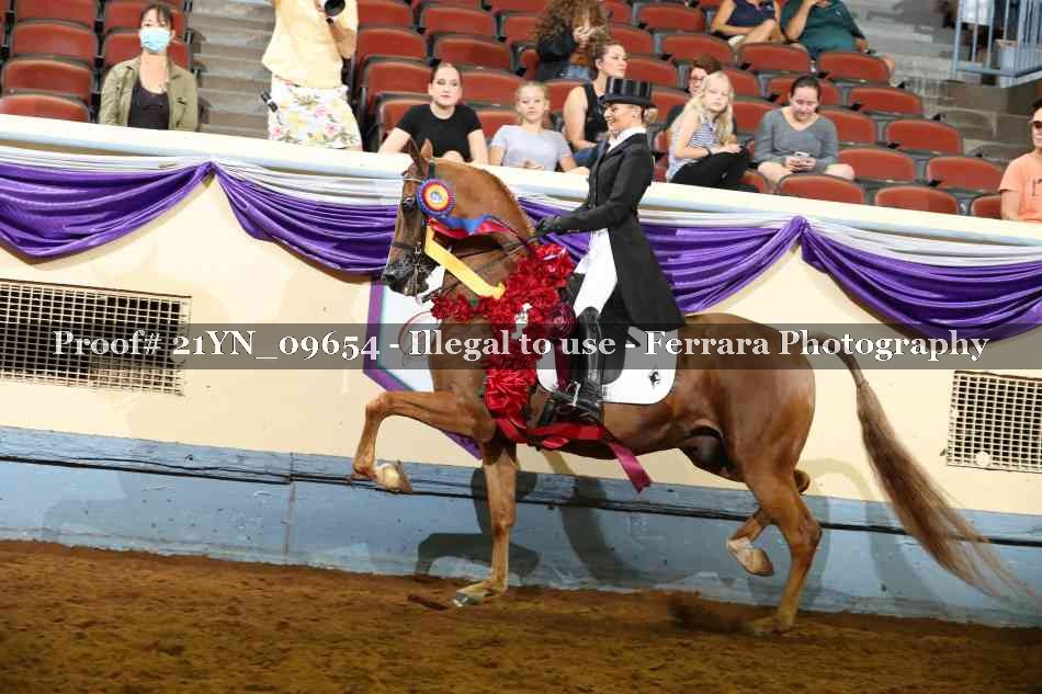 Proof 21YN_09654