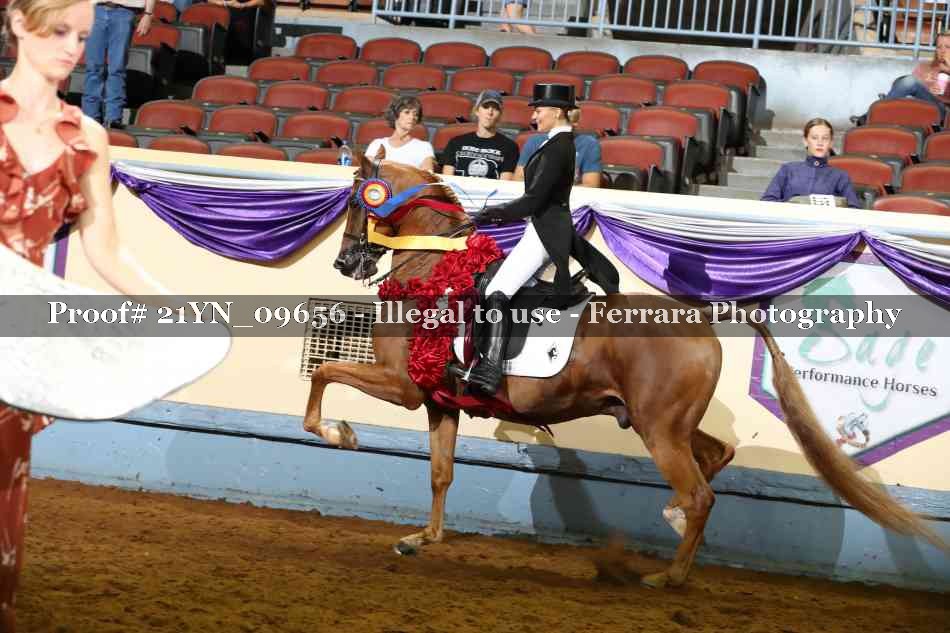 Proof 21YN_09656