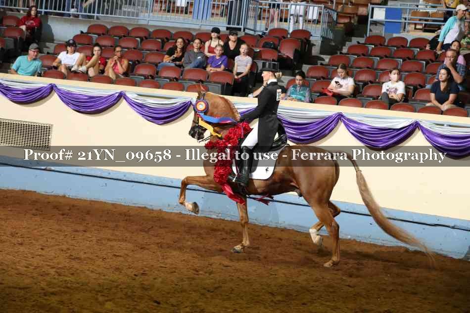 Proof 21YN_09658