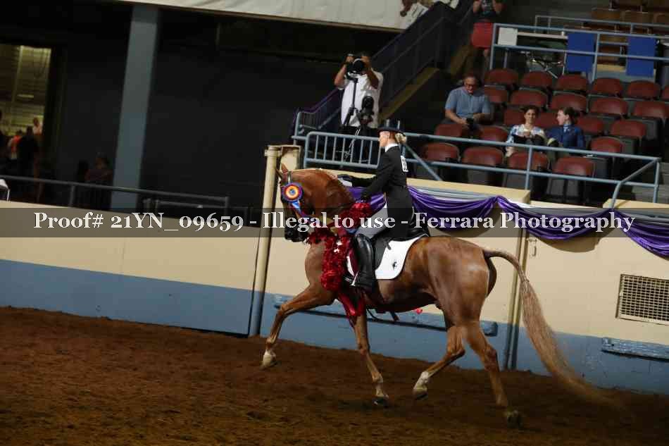 Proof 21YN_09659