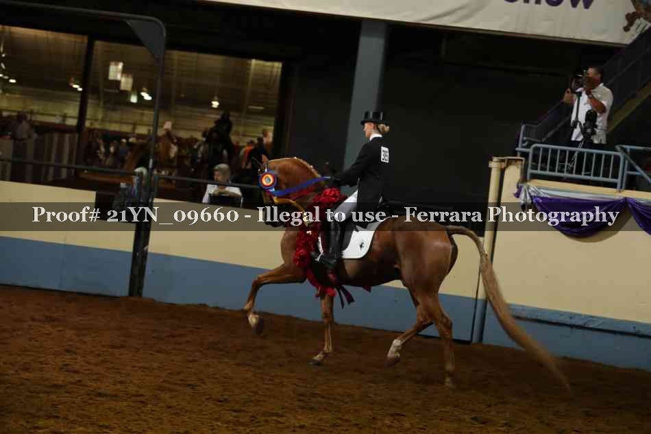 Proof 21YN_09660
