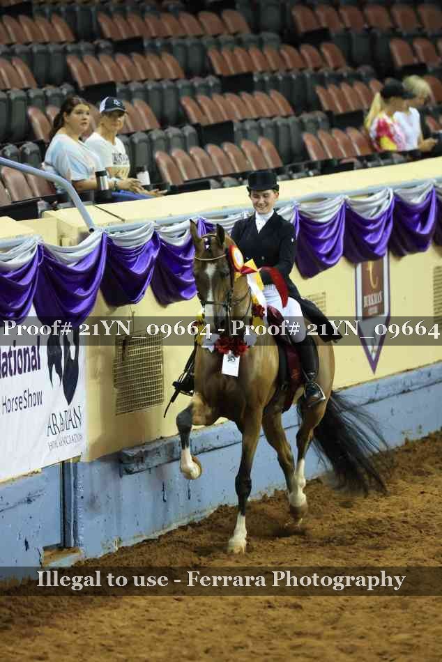 Proof 21YN_09664