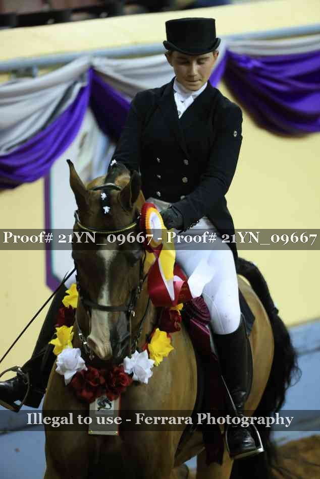 Proof 21YN_09667