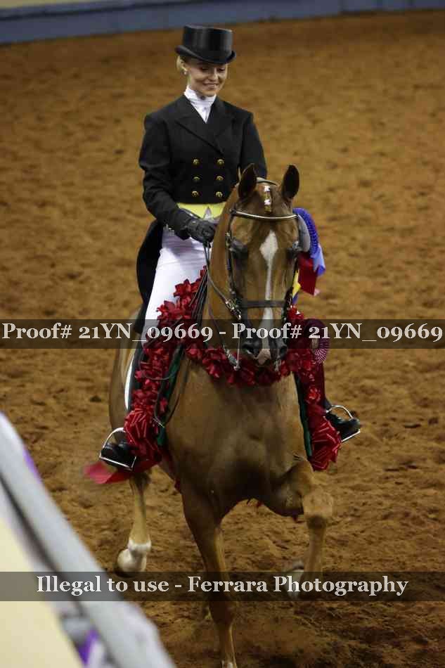 Proof 21YN_09669