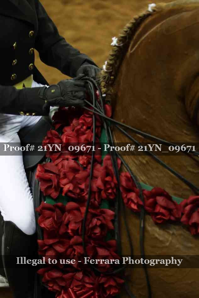 Proof 21YN_09671