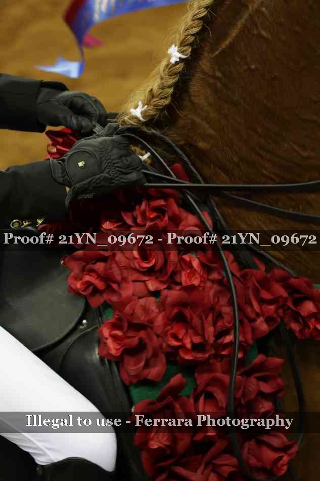 Proof 21YN_09672