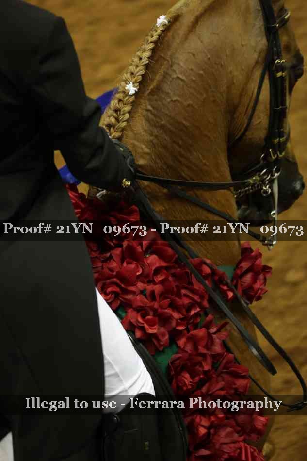 Proof 21YN_09673