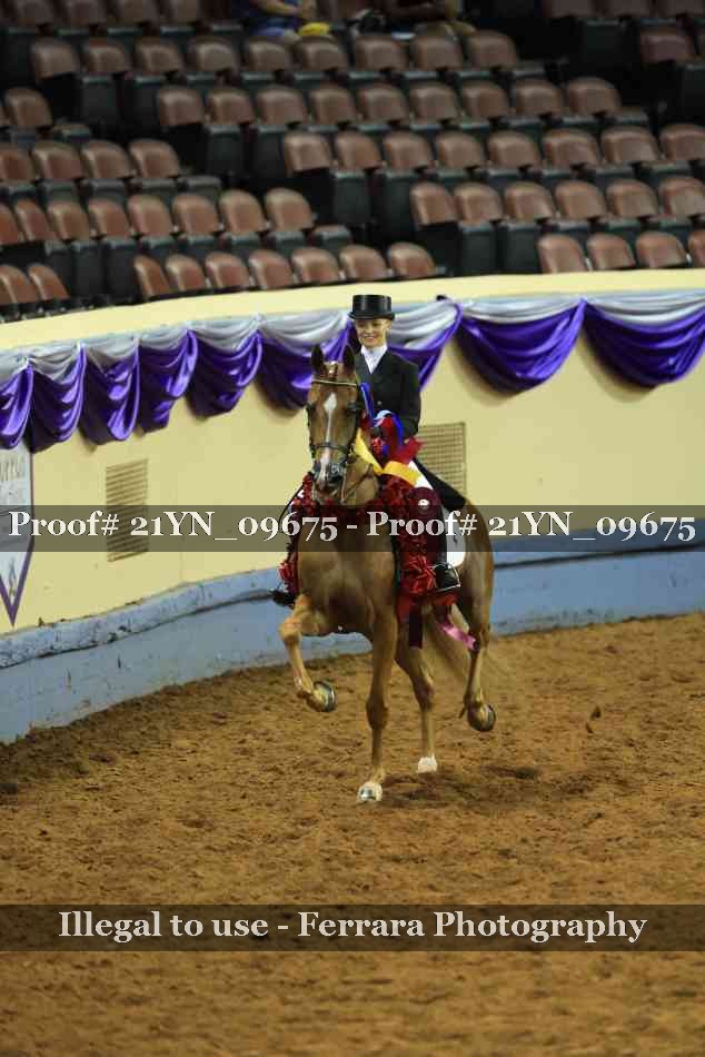 Proof 21YN_09675