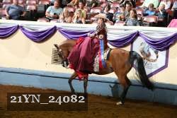 21YN_24082 proof