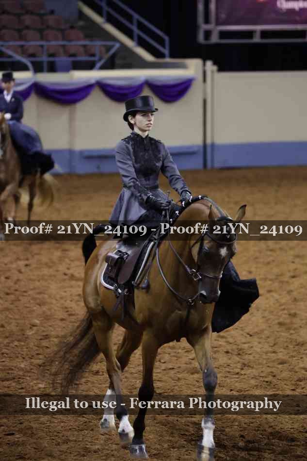 Proof 21YN_24109