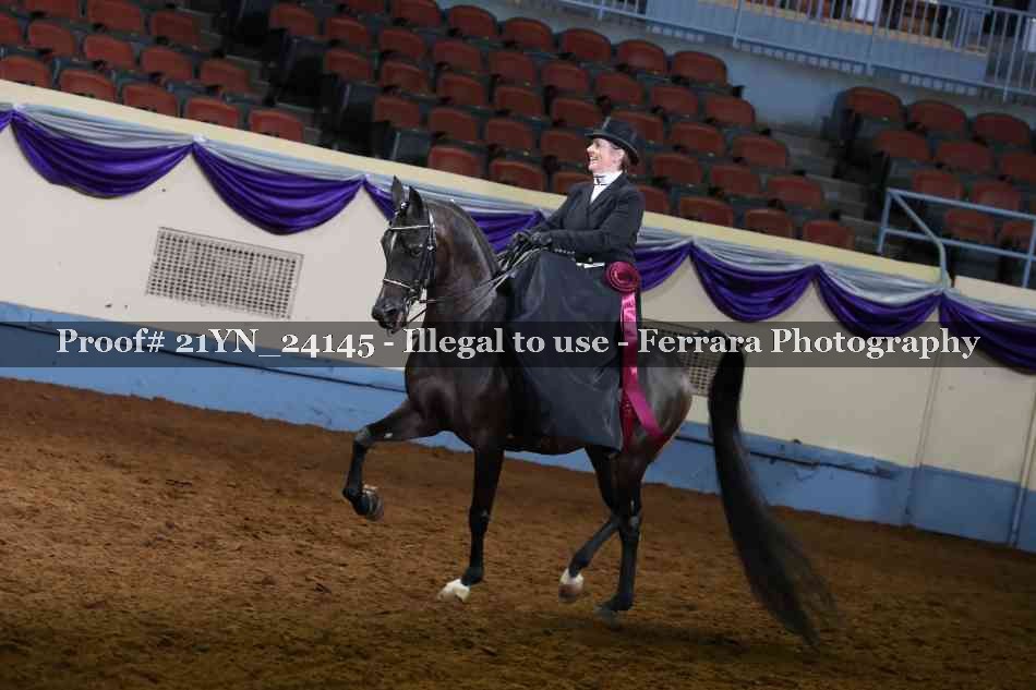 Proof 21YN_24145