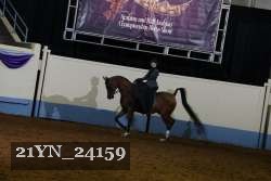 21YN_24159 proof