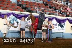 21YN_24173 proof