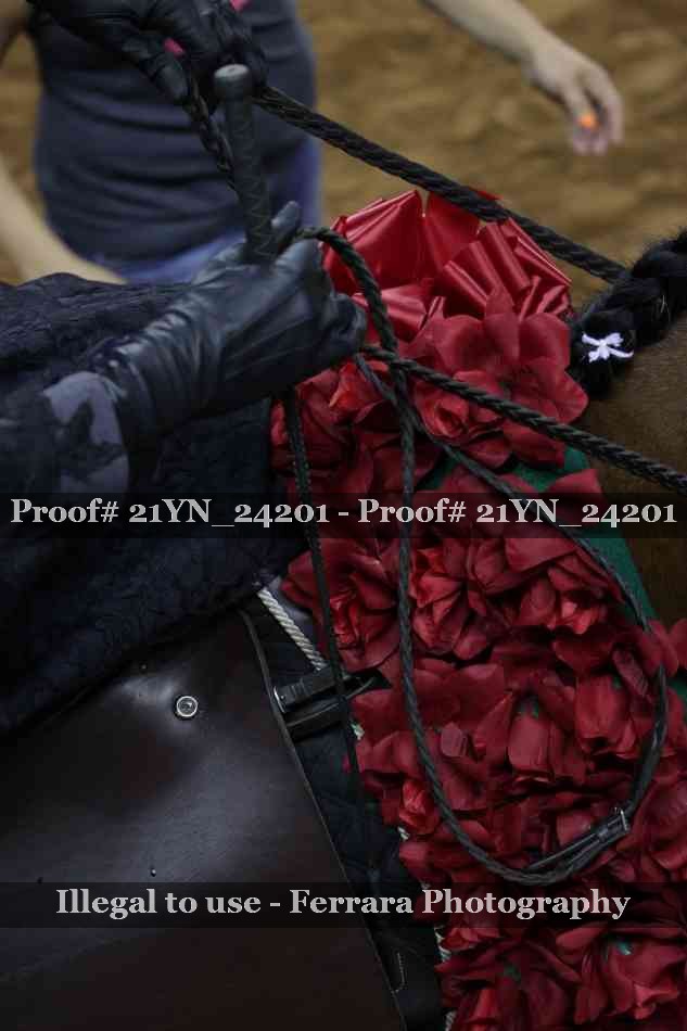 Proof 21YN_24201