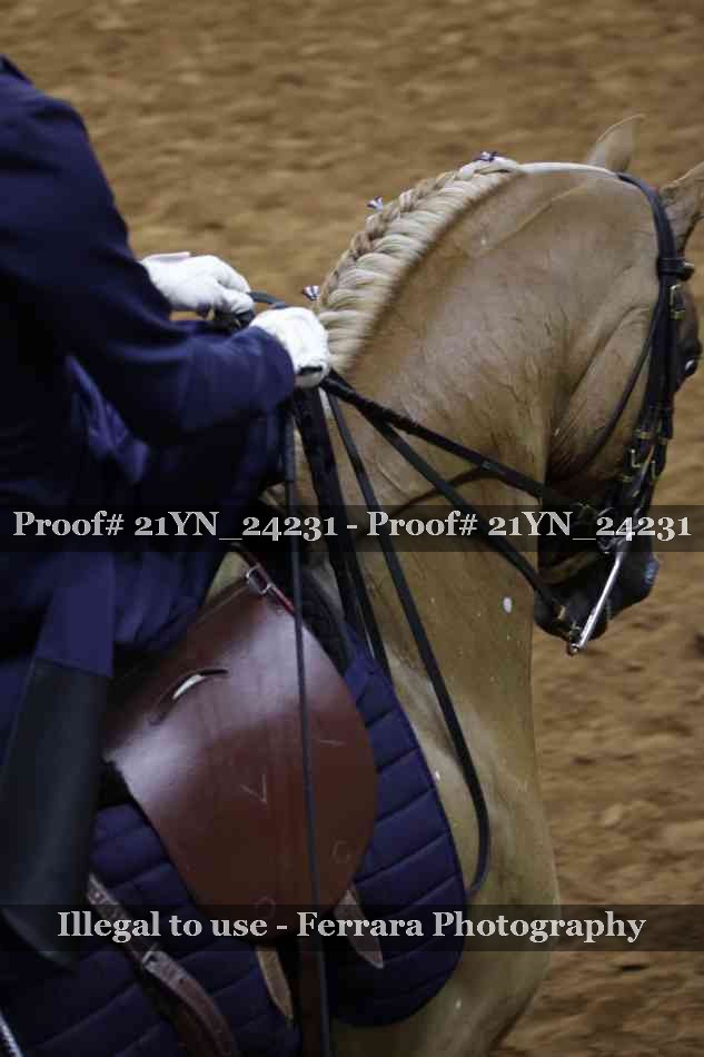 Proof 21YN_24231
