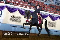 21YN_24235 proof