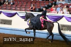 21YN_24241 proof