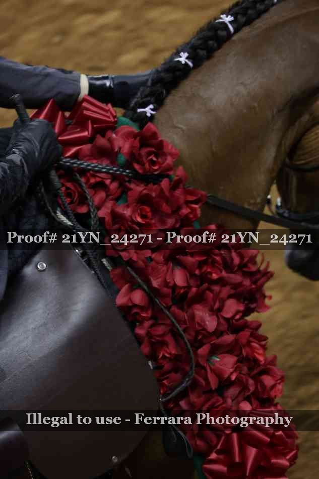 Proof 21YN_24271