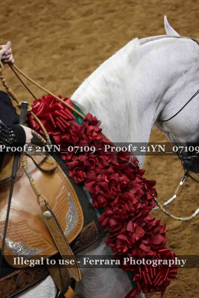 Proof 21YN_07109