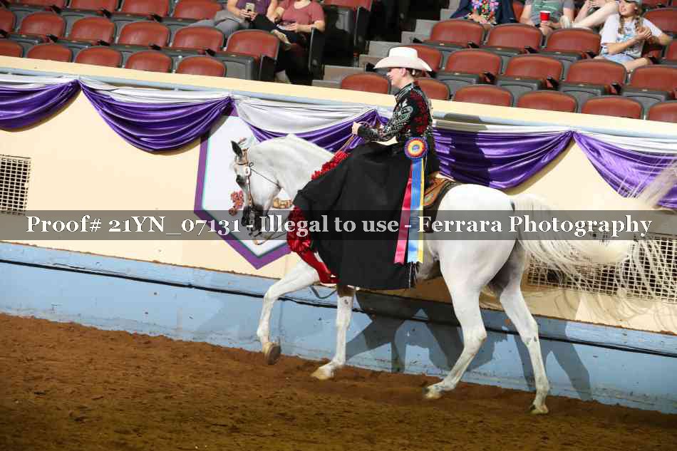 Proof 21YN_07131