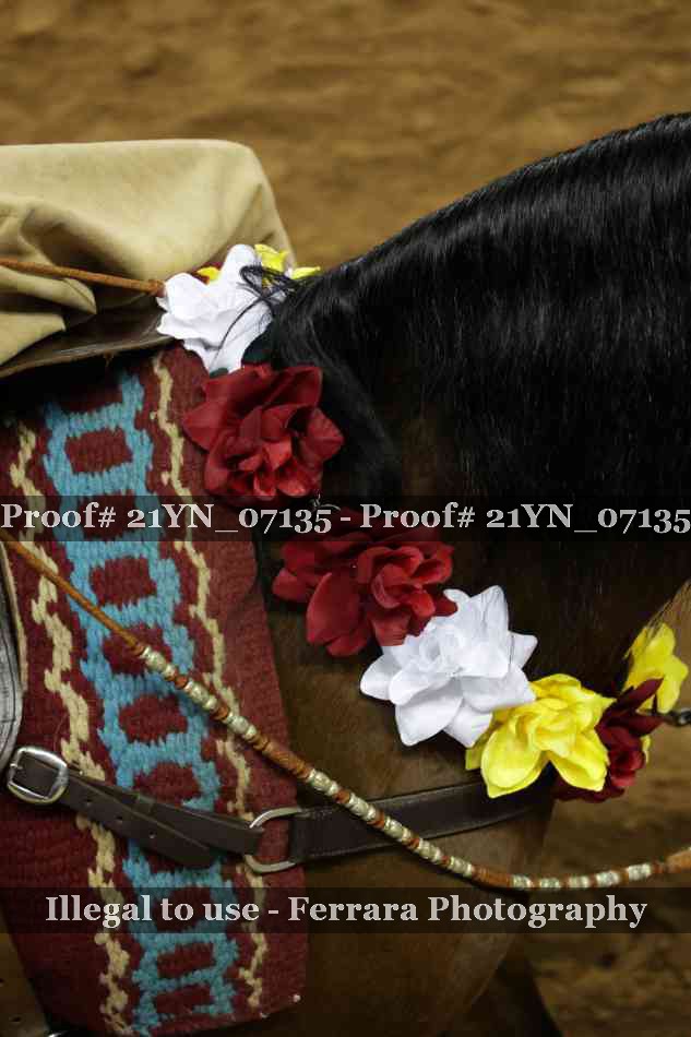 Proof 21YN_07135
