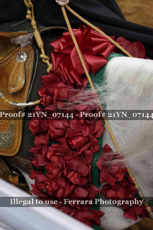 Proof 21YN_07144