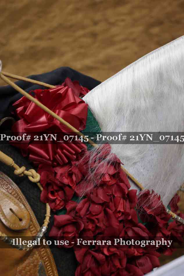 Proof 21YN_07145
