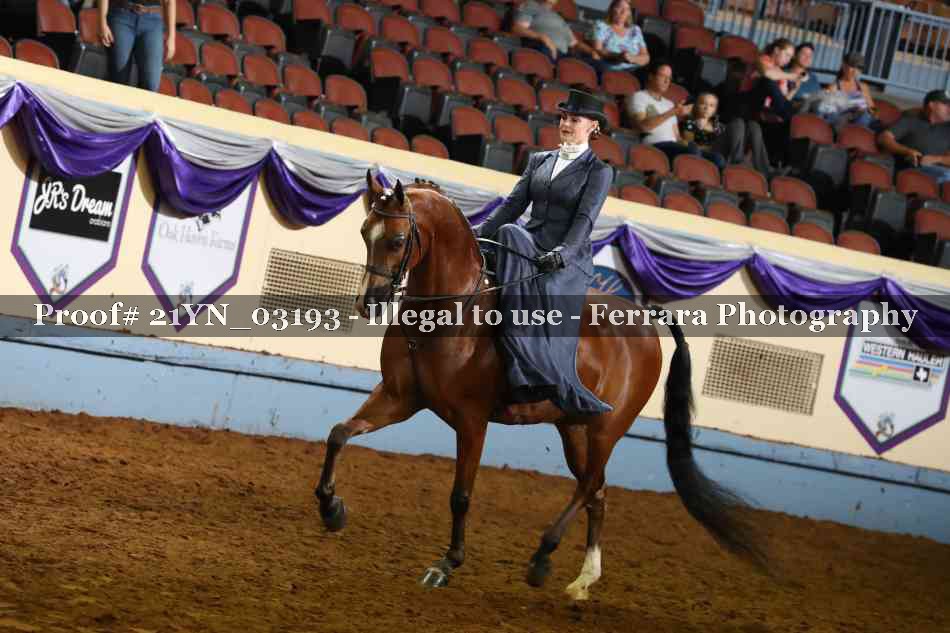 Proof 21YN_03193